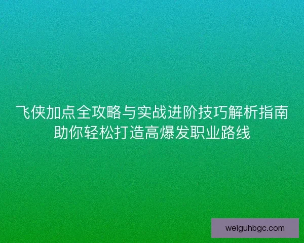 飞侠加点全攻略与实战进阶技巧解析指南助你轻松打造高爆发职业路线