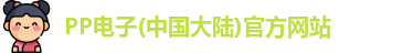 PP电子
